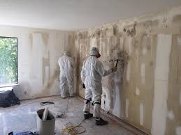 Best Commercial Mold Inspection  in Arlington, OH